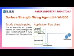 Surface Sizing Agent