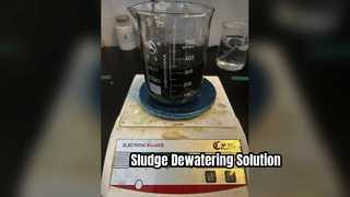 Retention Agent For Sludge Dewatering